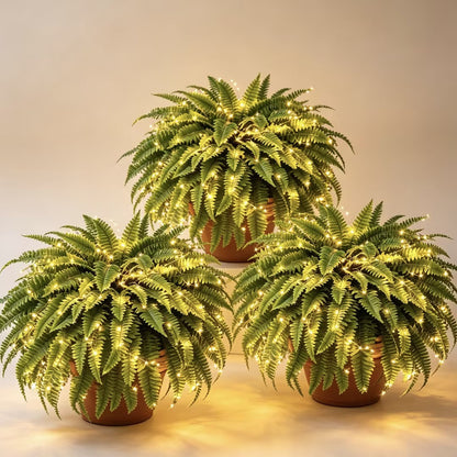 💥 50% OFF  Glowing Boston Ferns with Lights✨ Zero Watering & Maintenance💛