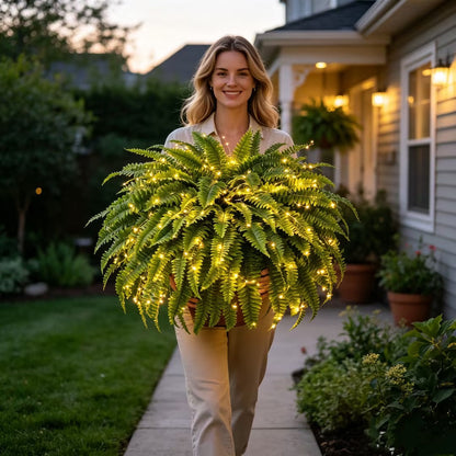 💥 50% OFF  Glowing Boston Ferns with Lights✨ Zero Watering & Maintenance💛